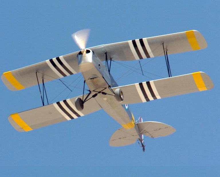 R-80 Tiger Moth Plans